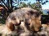 sm_P9105637.JPG
