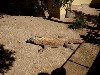 sm_P9105680.JPG