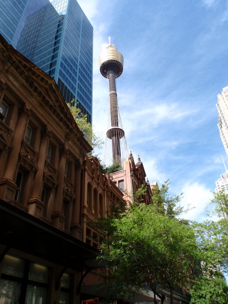 sm_P9115945.JPG