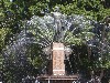 sm_AR-P9115569.JPG