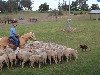 sm_AR-P9115642.JPG