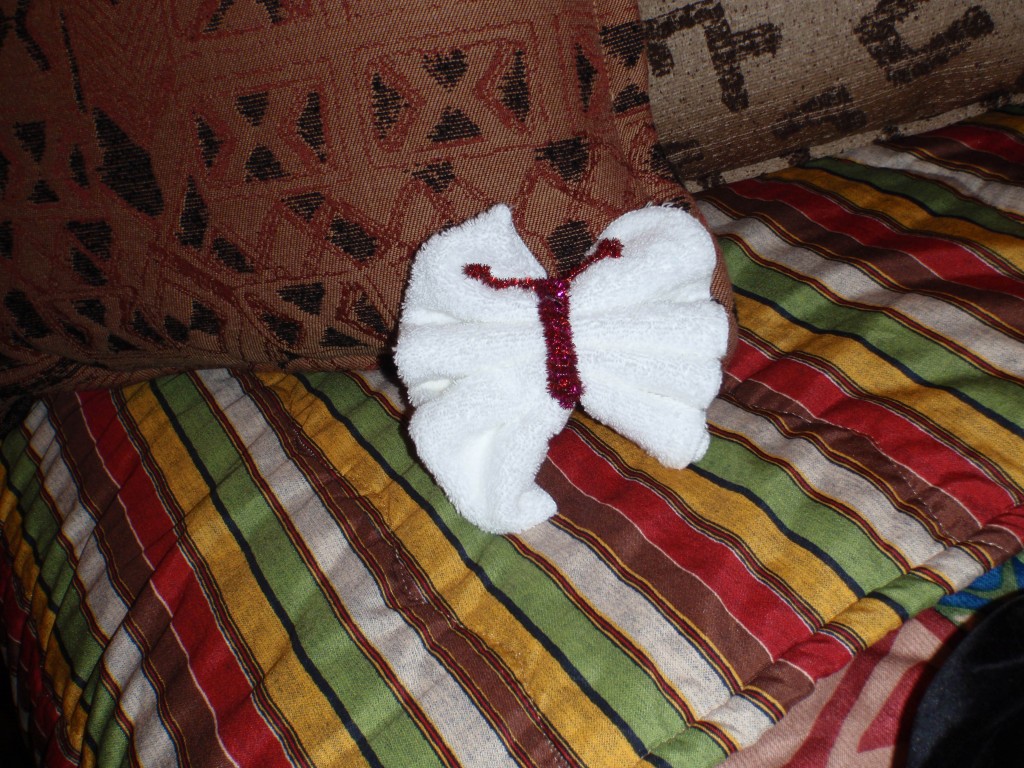 sm_P1022321.JPG