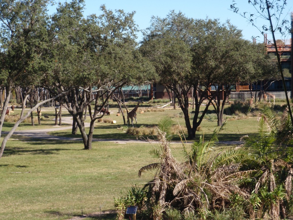 sm_P1042412.JPG