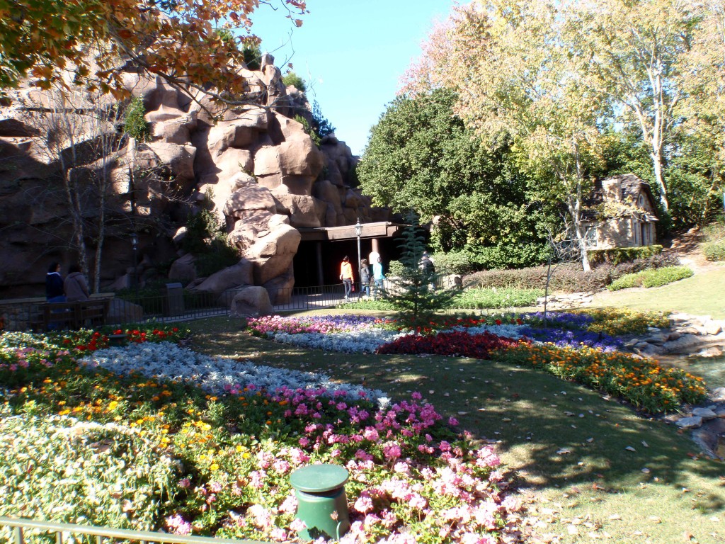 sm_P1042421.JPG