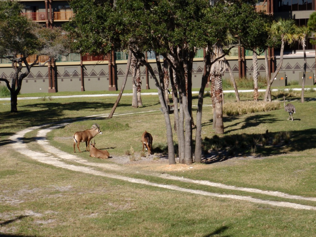 sm_P1052444.JPG