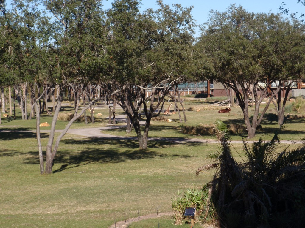 sm_P1052468.JPG