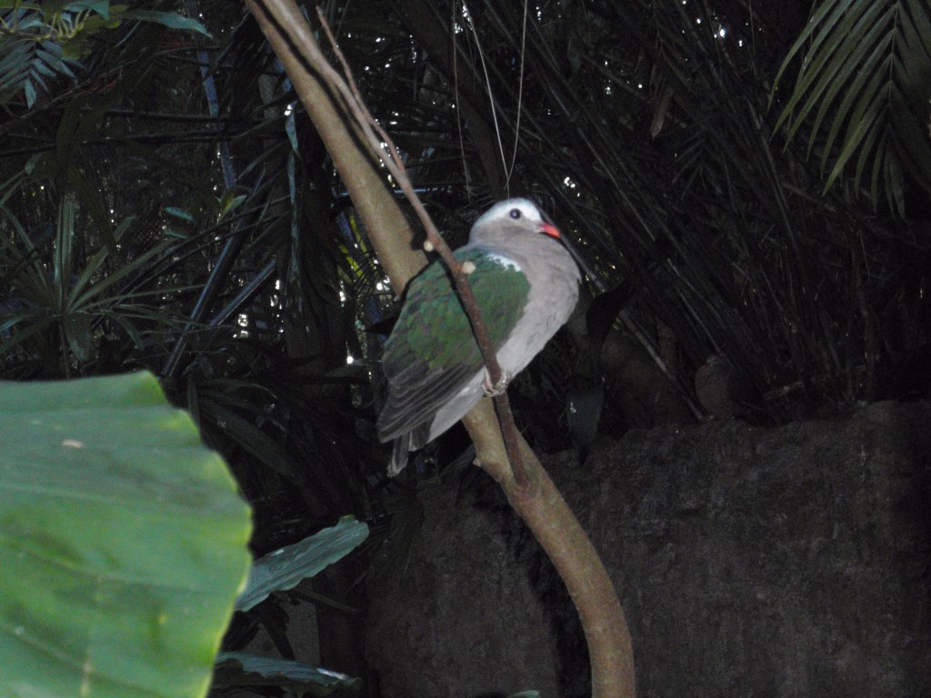 sm_P1062754.JPG