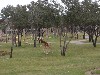 sm_P1032343.JPG