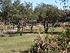 sm_P1042412.JPG