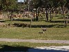 sm_P1052439.JPG