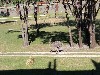 sm_P1052442.JPG