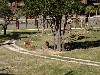 sm_P1052444.JPG