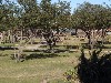 sm_P1052468.JPG