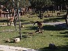 sm_P1052469.JPG