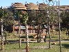 sm_P1052472.JPG