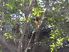 sm_P1062590.JPG