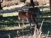 sm_P1062634.JPG
