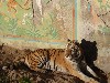 sm_P1062725.JPG