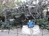 sm_P1062759.JPG