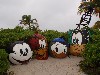 sm_P1092783.JPG