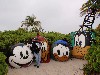 sm_P1092784.JPG
