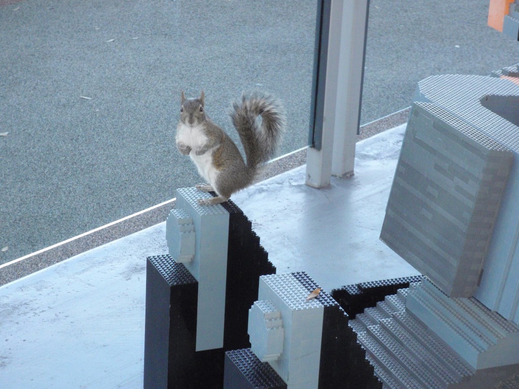 sm_P1042217.JPG