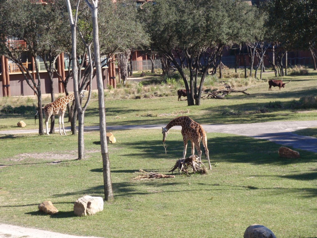 sm_P1052291.JPG