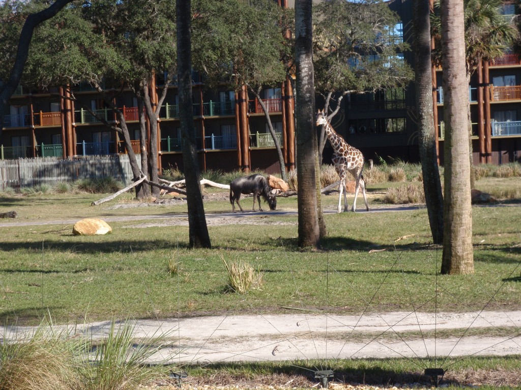 sm_P1052304.JPG