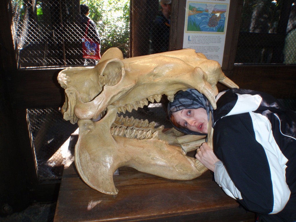 sm_P1062352.JPG