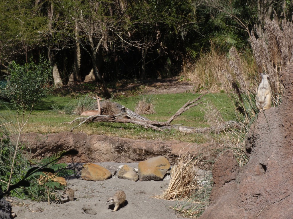sm_P1062356.JPG