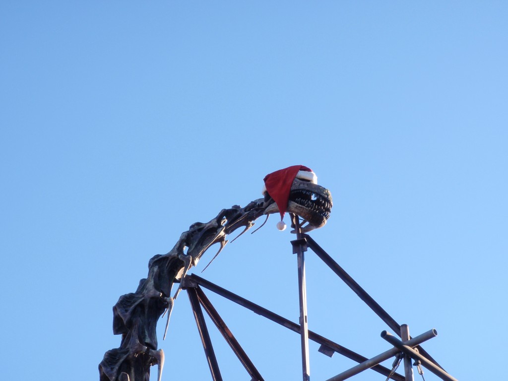 sm_P1062419.JPG
