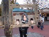 sm_P1032129.JPG