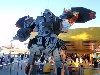 sm_P1042214.JPG