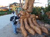 sm_P1042227.JPG