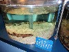 sm_P1052310.JPG