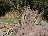sm_P1062354.JPG
