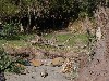 sm_P1062356.JPG