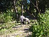 sm_P1062358.JPG