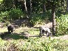 sm_P1062366.JPG