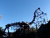 sm_P1062418.JPG