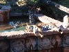 sm_P1062425.JPG