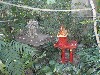 sm_P1062451.JPG