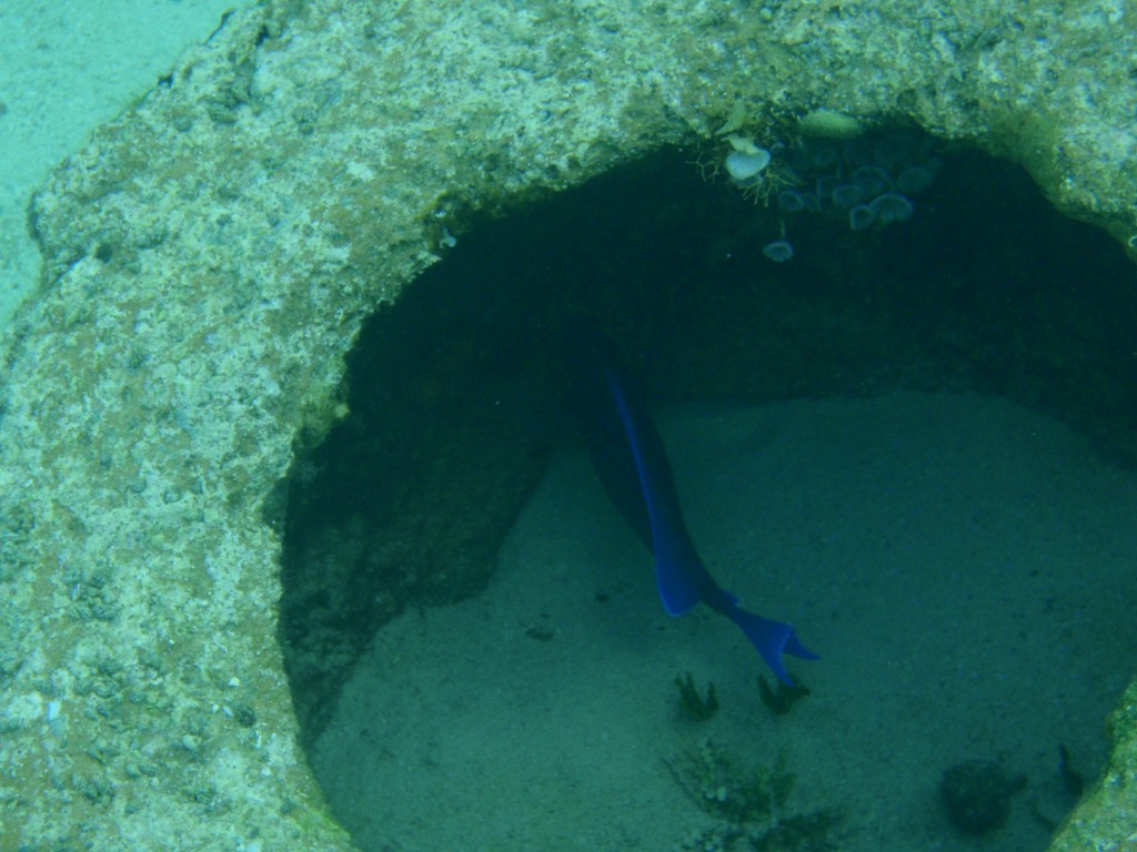 sm_679.JPG