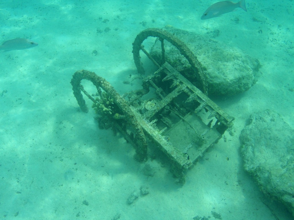 sm_710.JPG