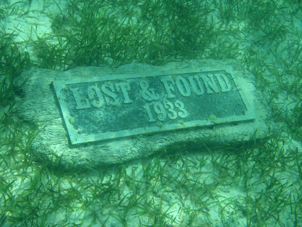 sm_716.JPG