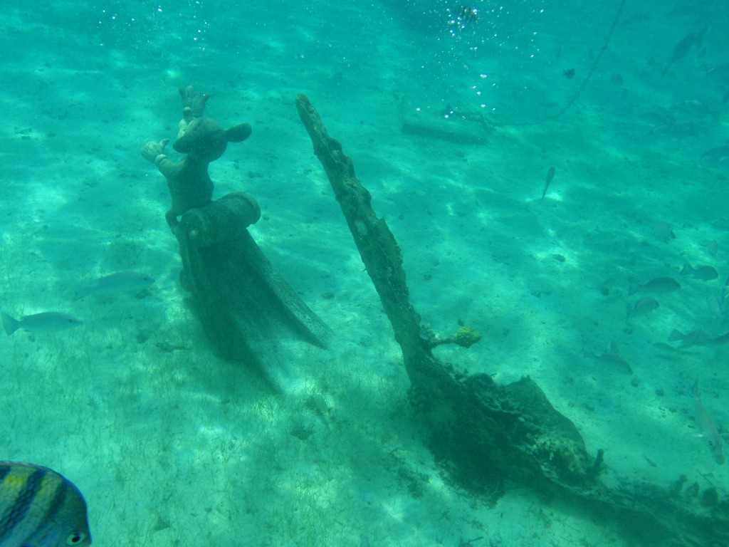 sm_767.JPG