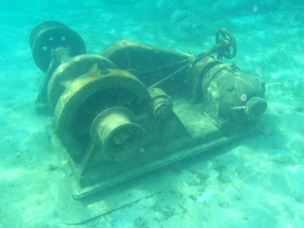 sm_773.JPG