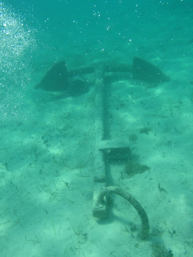 sm_800.JPG