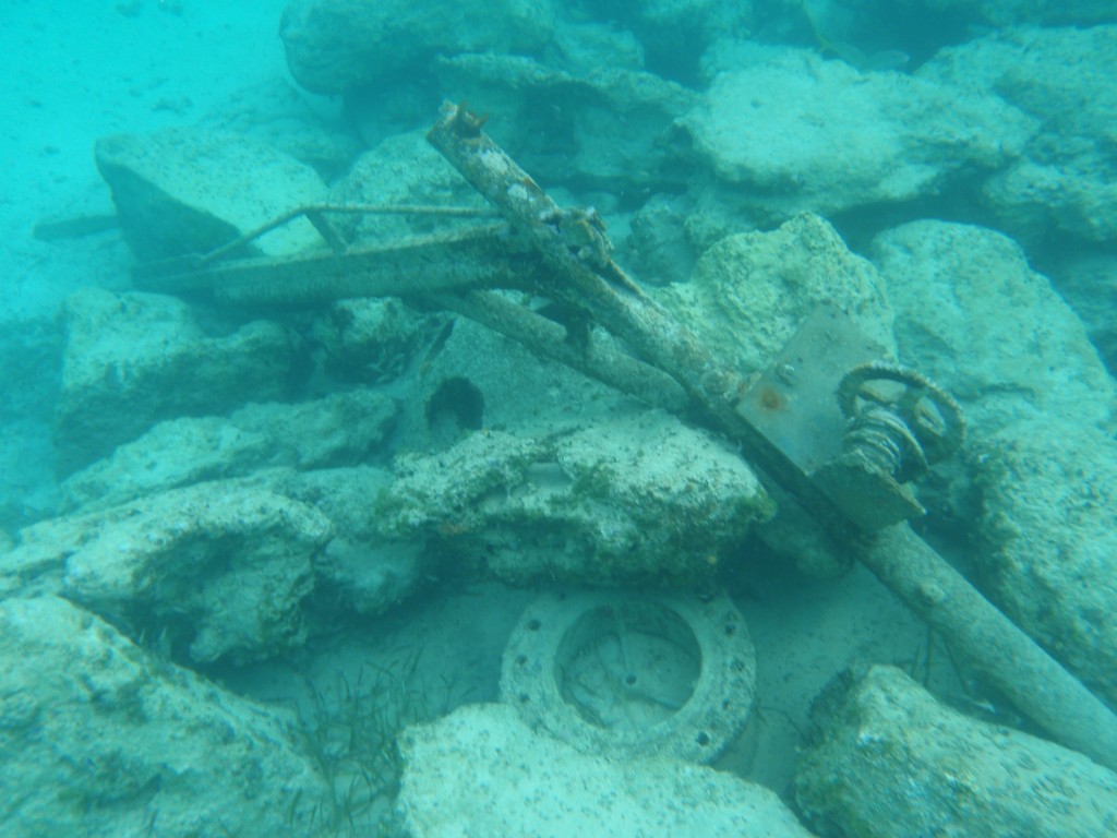 sm_PA307369.JPG