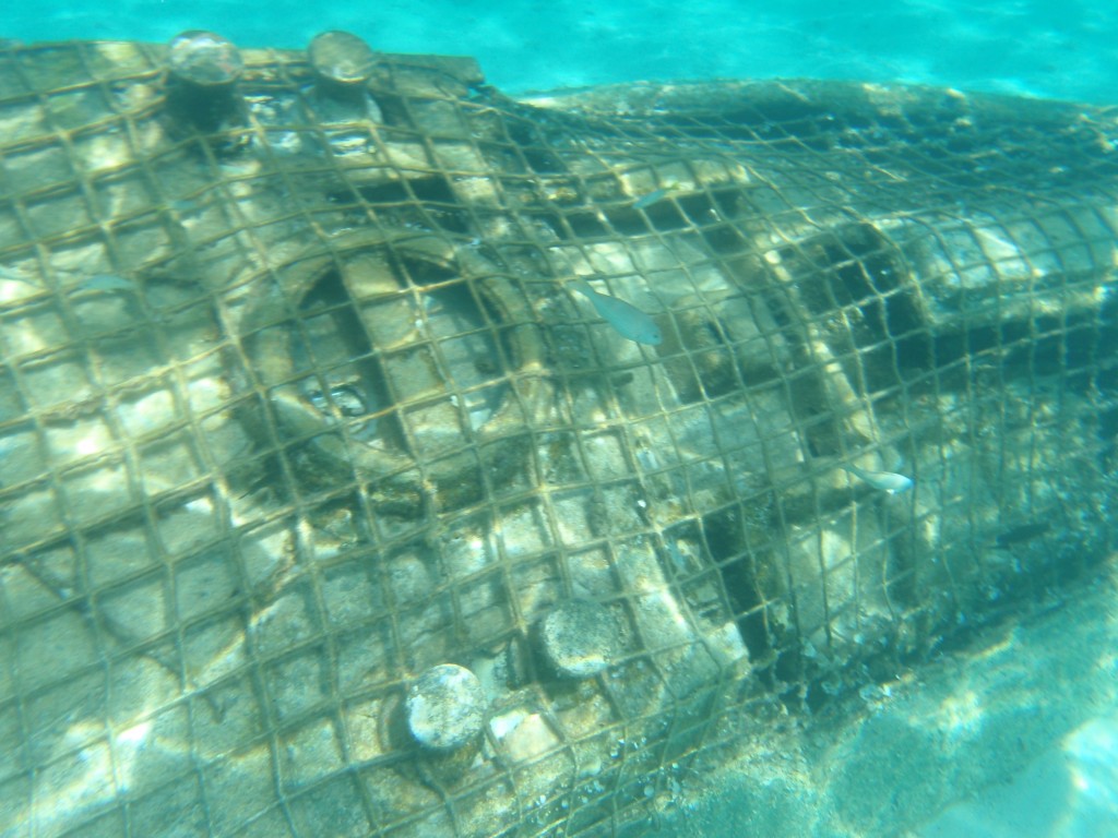 sm_PA307387.JPG